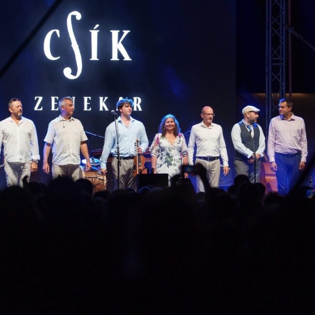 TZSVTAV-LED bérlés-gyártás