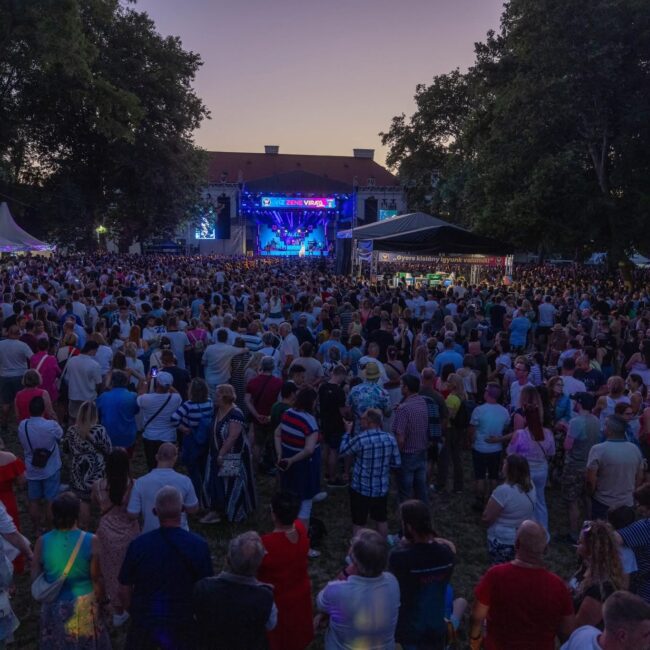 TZSVTAV-LED bérlés-gyártás