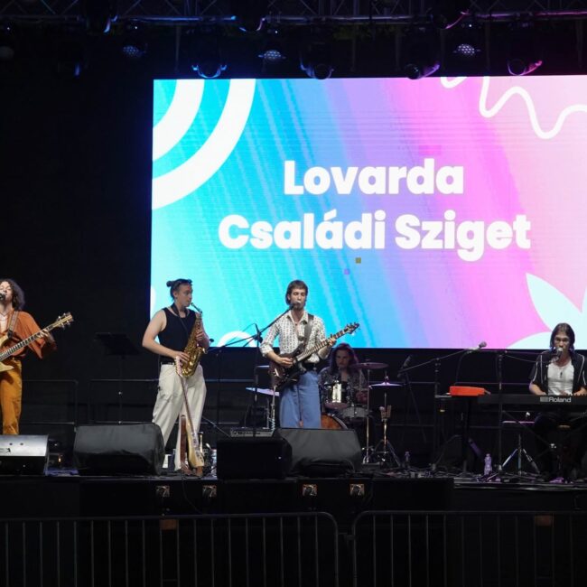 TZSVTAV-LED bérlés-gyártás